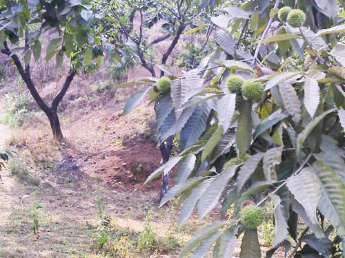 20160412215307_893967894.jpg 20160412215307_893967894.jpg